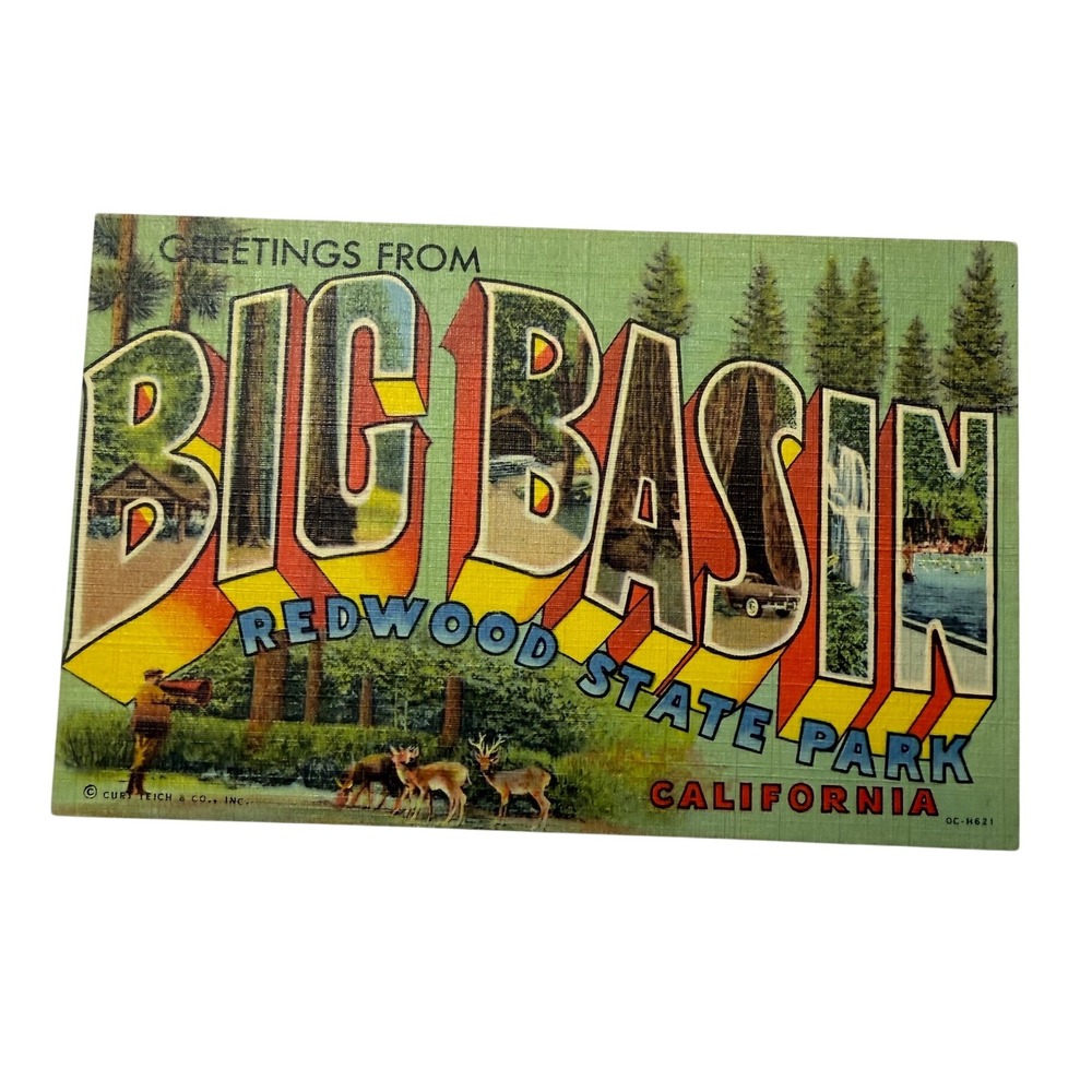 Vintage Big Basin Redwood State Park California Linen Postcard